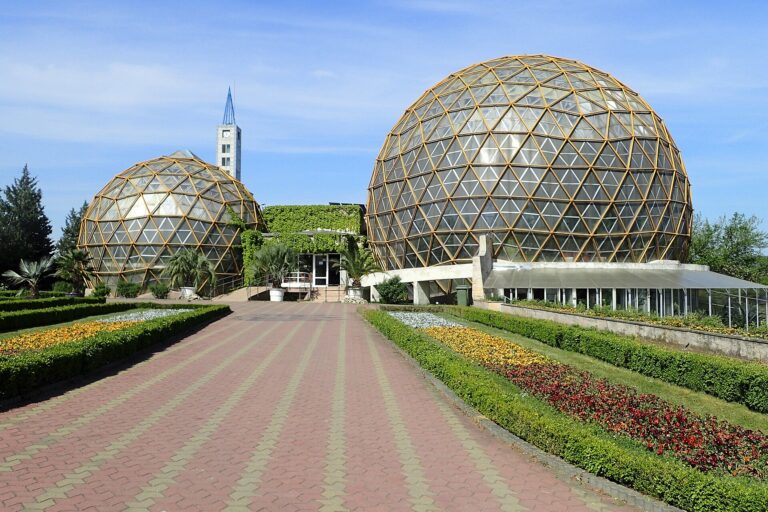 Jibou: Grădina Botanică „Vasile Fati”, fotografia 2