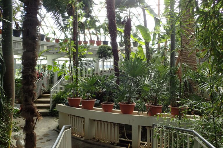 Jibou: Grădina Botanică „Vasile Fati”, fotografia 4