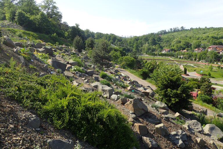 Jibou: Grădina Botanică „Vasile Fati”, fotografia 5