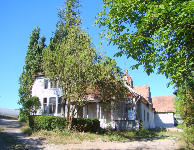 Bădăcin: Casa memorială Iuliu Maniu, fotografia 2