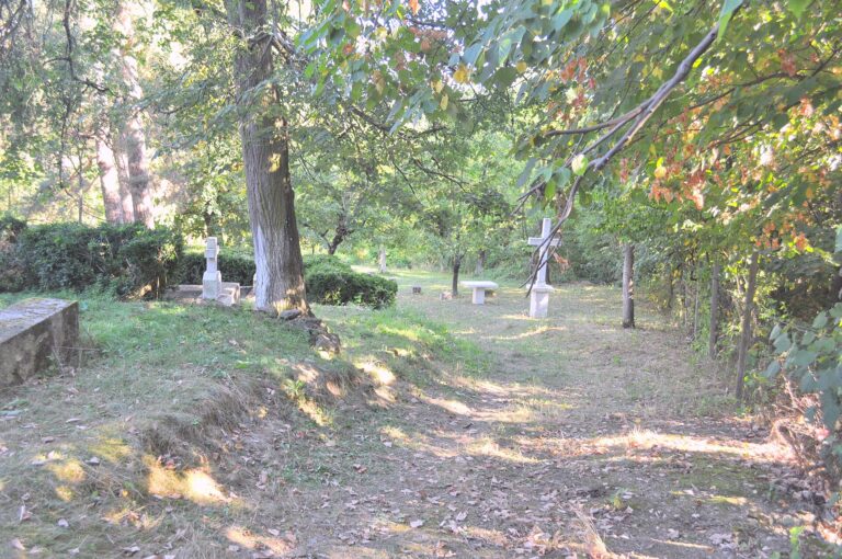 Bădăcin: Casa memorială Iuliu Maniu, fotografia 4