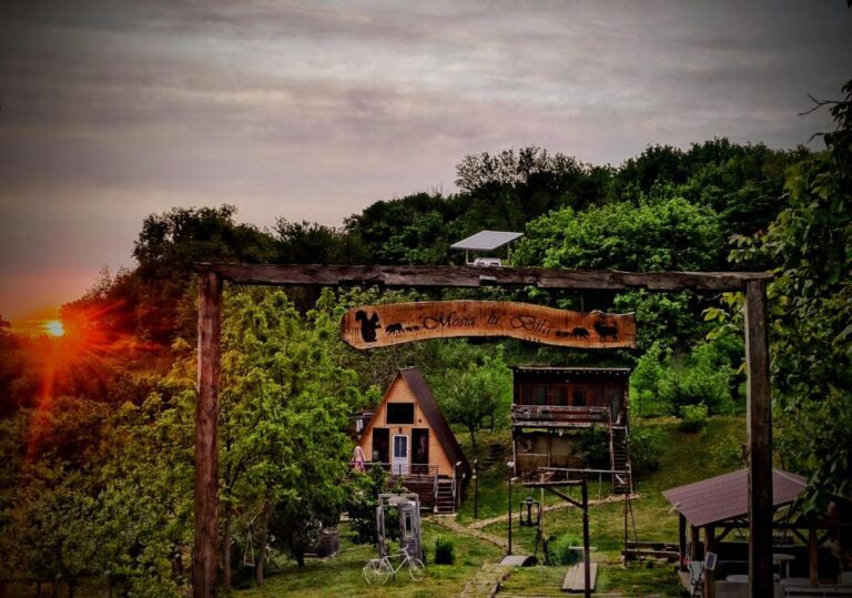 Cabana Samira - cabană / căsuță în Tășnad