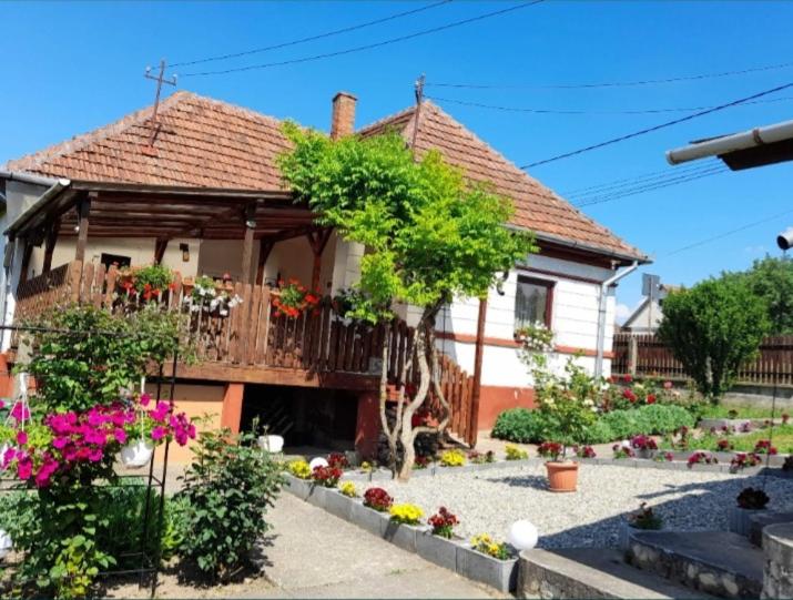 Casa Teonia - pensiune în Tășnad