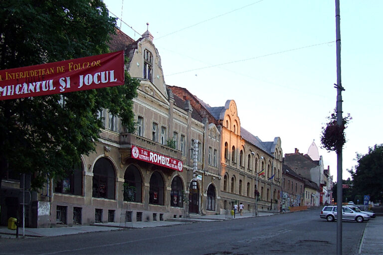 Cumpărături în Tășnad: supermarketuri, piață, magazine